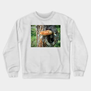 Mushroom on tree trunk Crewneck Sweatshirt